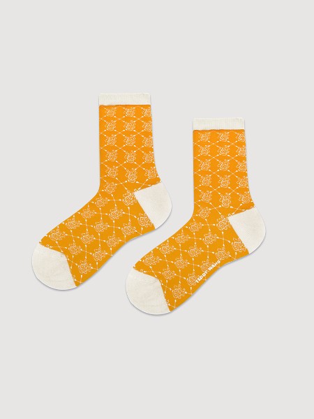 TEDDY WANG潮袜品牌「四季爱」系列男女同款新品